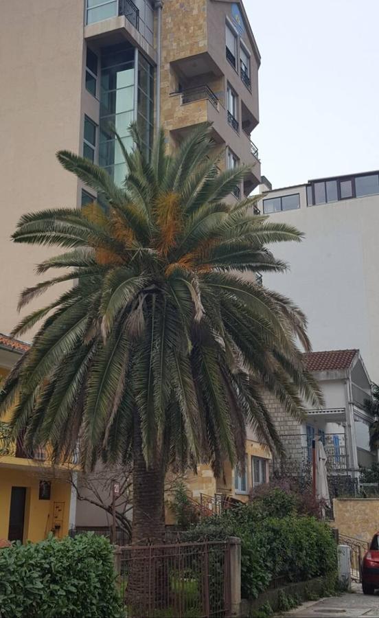 Apartman Centar Lux บุดวา ภายนอก รูปภาพ